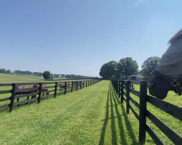 Video of Rachel Alexandra xx