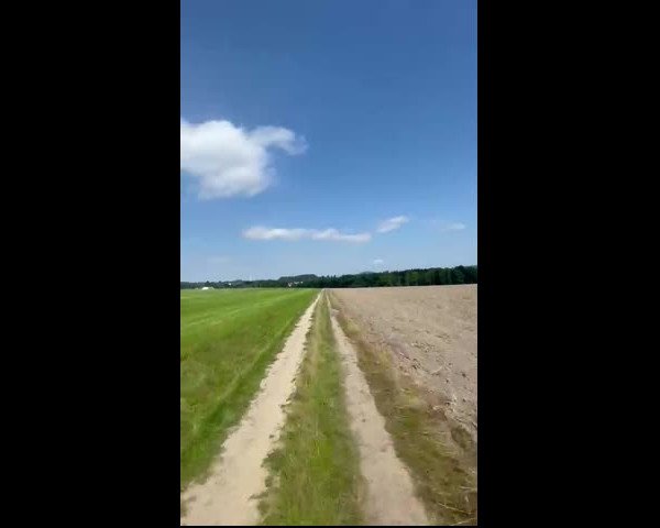 Video von Akira Hl