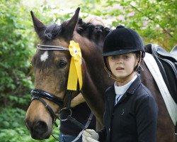 Dressurpferd Candy-Girl 6 (Deutsches Reitpony, 2003, von Pancho)