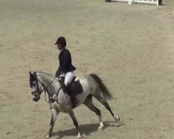 Reitturnier Bad Wurzach 2021