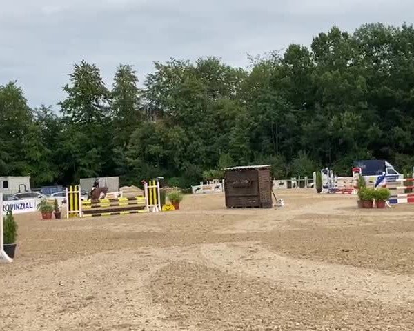 Reitturnier Albersdorf Dithmarsenpark 2021