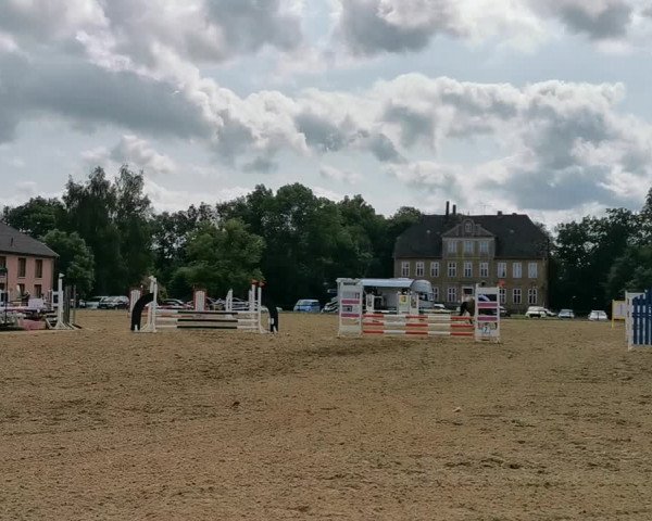 Video von Little Flash of Lightning