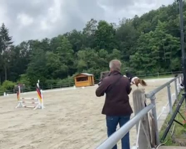 Video of Tammi 6