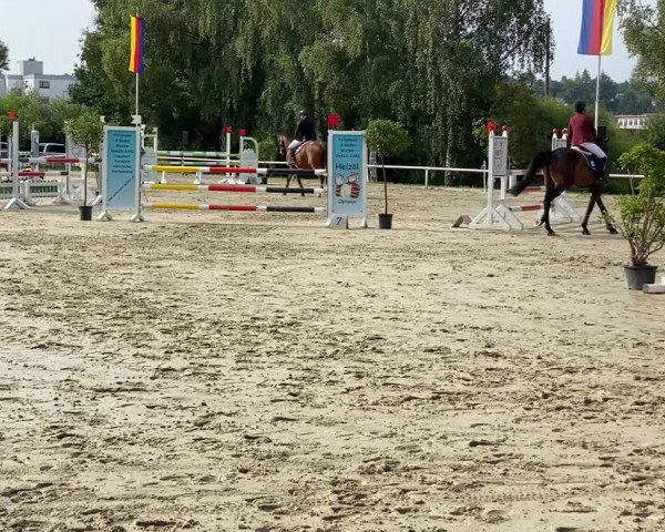 Video of Lucky Blue 2
