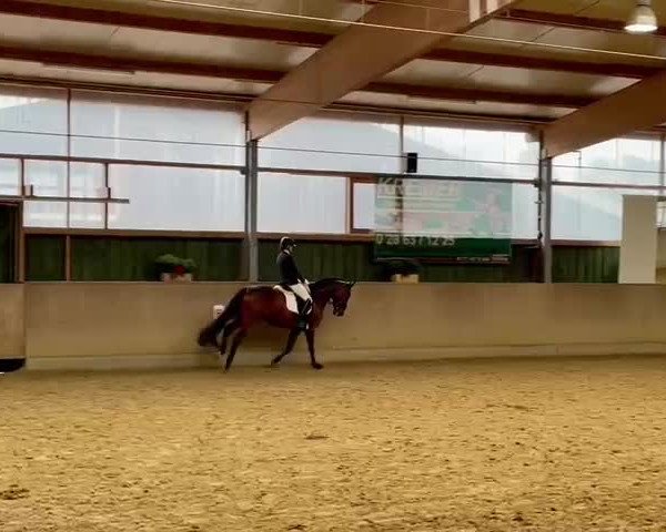 Reitturnier Velen 2021