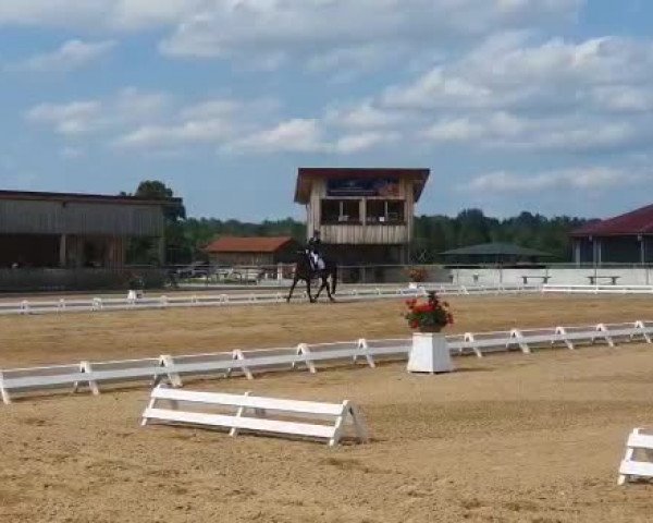 Video von Santino Royal