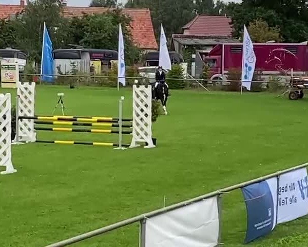 Video of Domiziano Z