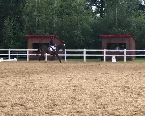 Reitturnier Wernburg 2021