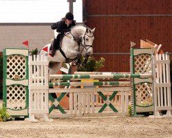jumper Cassus Clarque (Hanoverian, 2007, from Cassus 2)