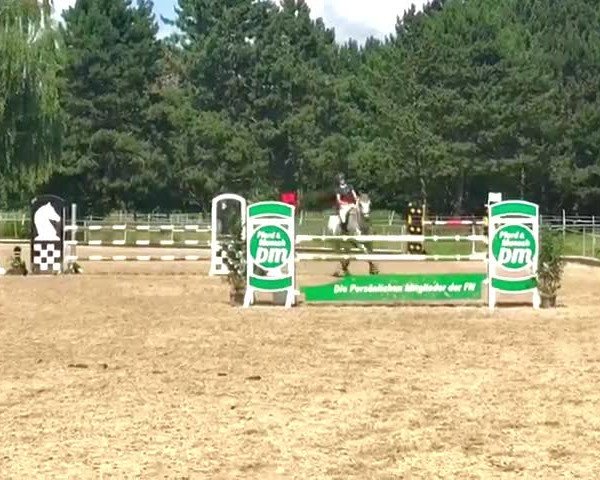 Video of Carabas 10