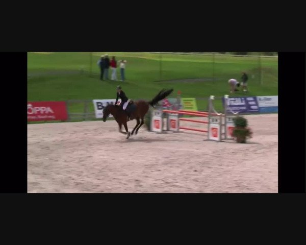 Video of Adomo's Glarina
