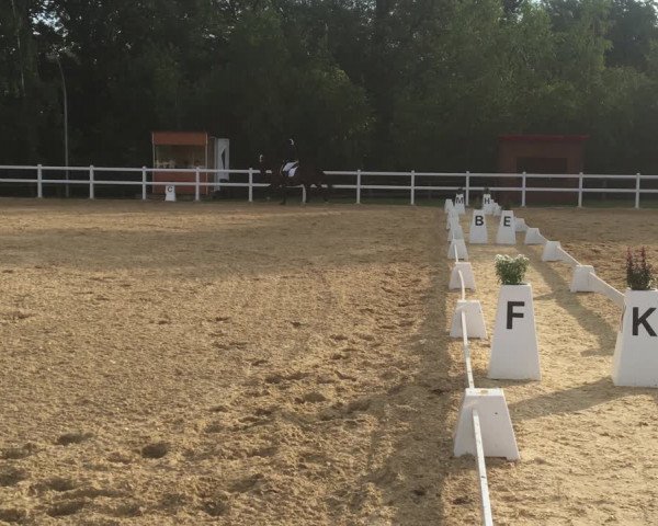 Reitturnier Wernburg 2021