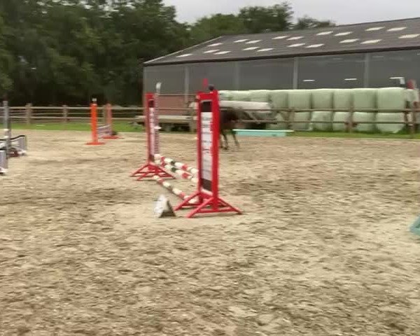 Video of kolverenhof's lira