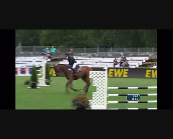 Video of Narnia's Beste