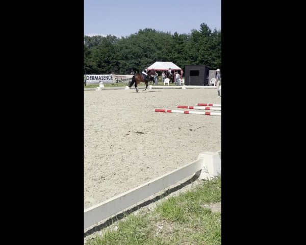 Video of Koran