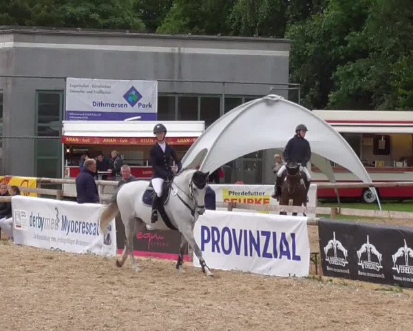 Reitturnier Albersdorf Dithmarsenpark 2021