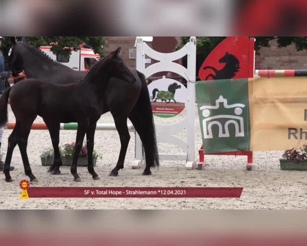 Video of Altenklosterhof's Tanzmarie