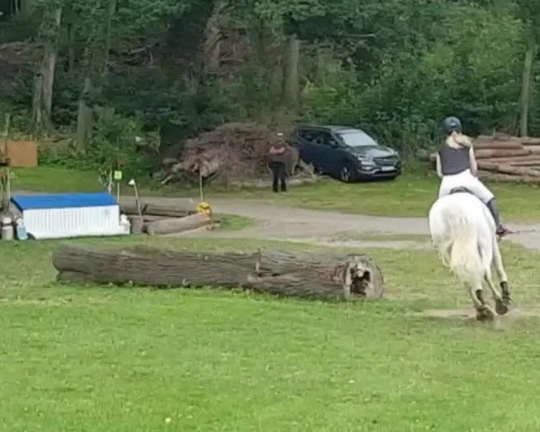 Video of Claashof Merlyn