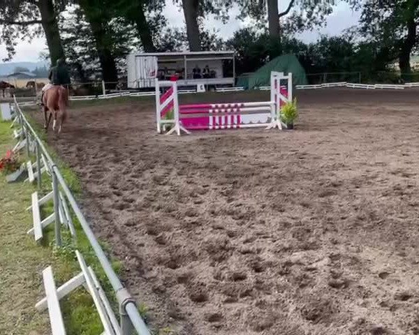 Video of Escada