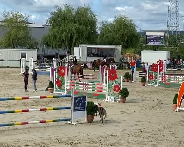 Video of Leonidas 135