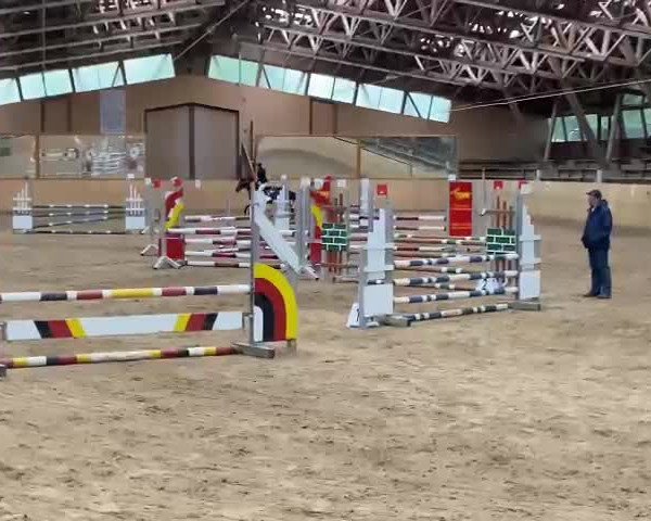Video of Cavalese BEVS