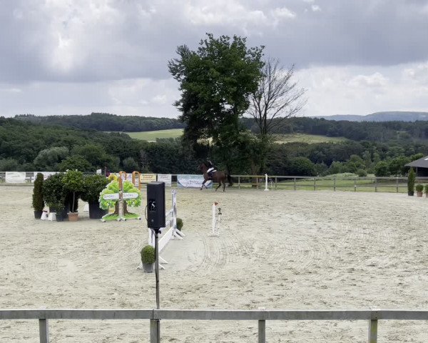 Reitturnier Kalenborn Hegehof 2021