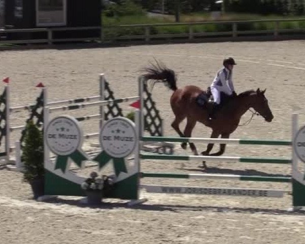 Video of Max Vls