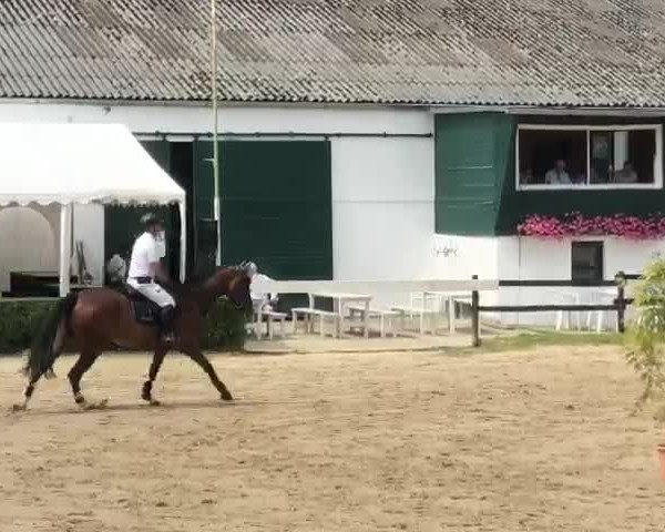 Video of Von Und Zu 5