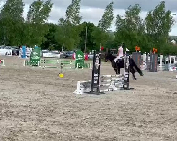 Video von Decurio Nobile