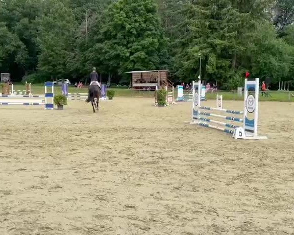 Video von Decurio Nobile