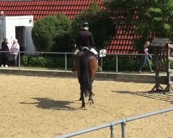 Video of Lunado