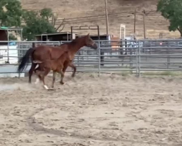 Video von Comjaime SK