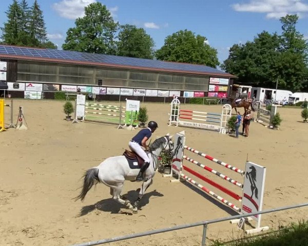 Video of Lafleur-Vitseroel