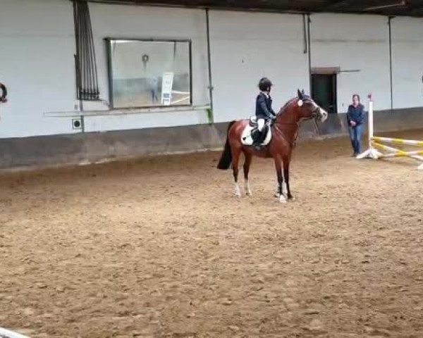 Video of Koran