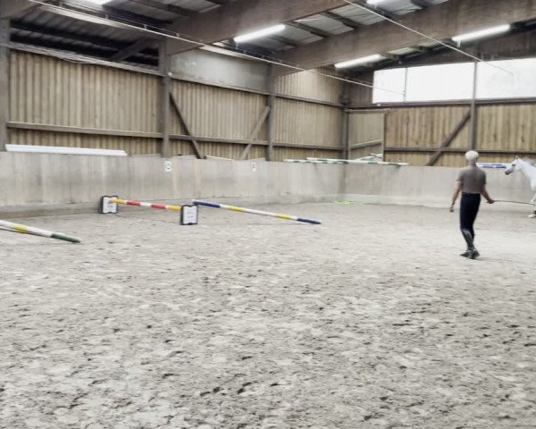 Video of Royal flag