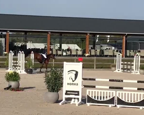 Video von Calona 2