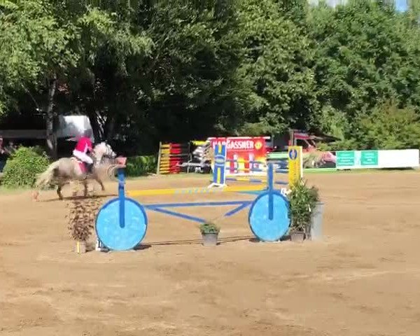 Video von Bon Bini B