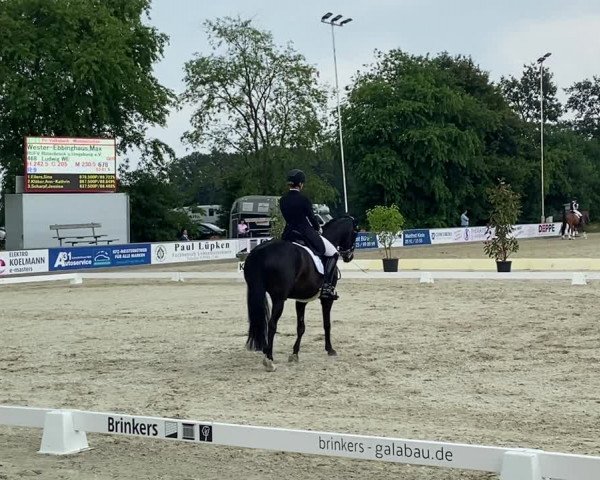 Video von Queenie Lou