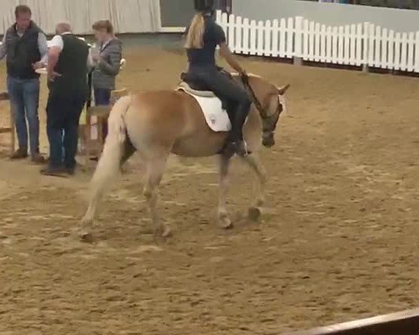 Video of Naomi