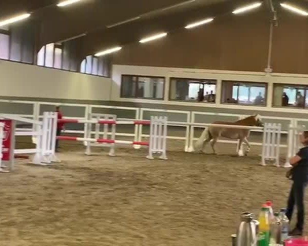 Video of Naomi