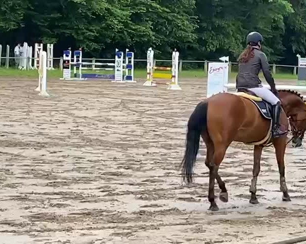 Reitturnier Hilsbach 2021
