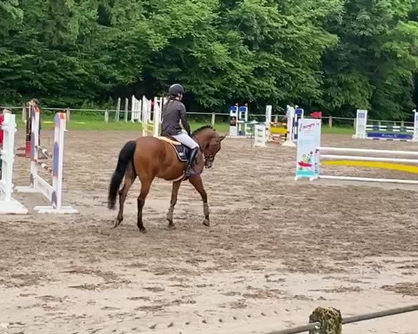 Reitturnier Hilsbach 2021