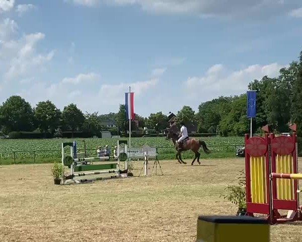 Reitturnier Gildehaus-Bentheim 2021
