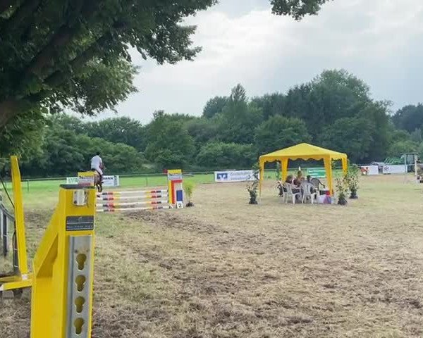 Reitturnier Gildehaus-Bentheim 2021