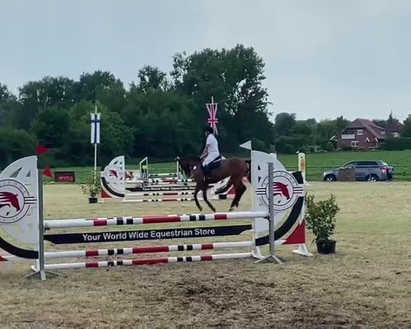 Reitturnier Gildehaus-Bentheim 2021