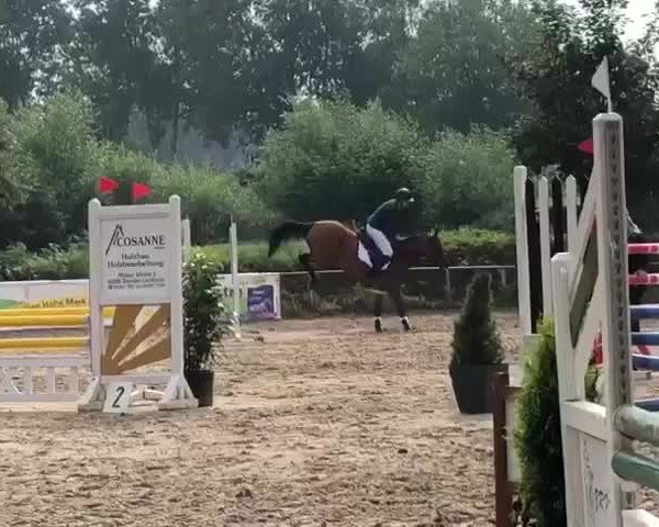 Video of Doolittle 139