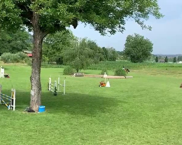 Reitturnier Eiken 2021