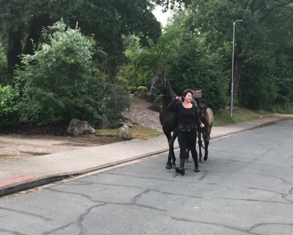 Video of Donna Doreen von Issen