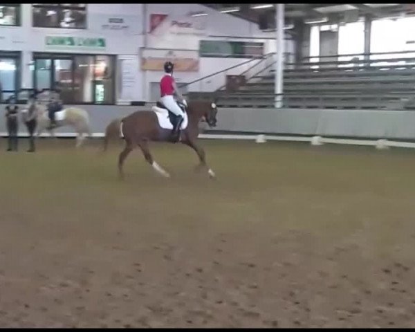 Video of Ciao Bella 23