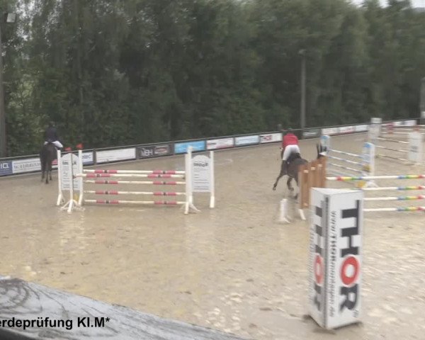 Reitturnier Uder, Reitanlage Kobold 2021